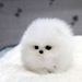 Profile Picture of GENESIS PAZ (@genesisp1773) on Pinterest