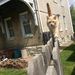 Profile Picture of Peter Wheeler (@peterwheeler) on Pinterest