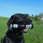 Richard M. Griffin - Facebook Profile Picture of Richard M. Griffin (@Richard-M-Griffin) on Facebook