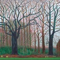 Profile Picture of Steve Tolley (@stolleys) on Pinterest