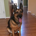 Profile Picture of David Fortson (@dfortson84) on Instagram