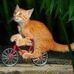 Profile Picture of Harold Speelman (@Harold-Speelman) on Facebook