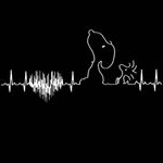 Profile Picture of Sue Forester (@saforester) on Instagram