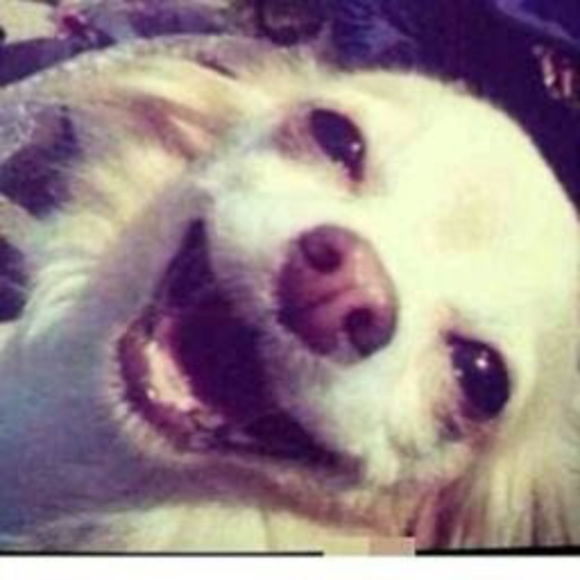 Corey Sheard - Poshmark Profile Picture of Corey Sheard (@jamirlatif) on Poshmark