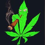 Bryan Moseley - Instagram Profile Picture of Bryan Moseley (@supply_da_420) on Instagram