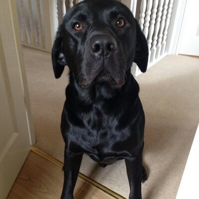 Profile Picture of Hot Chops (@Bradley8Kaye) on Twitter