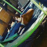 Profile Picture of duna (@duna_domiinguez) on Instagram