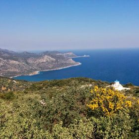 Profile Picture of Leah Koutsoukalis (@leahkoutsoukali) on Pinterest