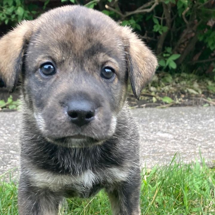 Profile Picture of dominicconner518 (@dominicconner518) on Tiktok