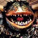 Profile Picture of Jesse Whitehead (@jessewhitehead) on Instagram
