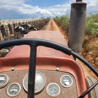 Profile Picture of 16 years old,sports (@steven_redden) on Instagram