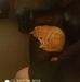 Profile Picture of Amber Schuster (@amber.schuster.735) on Facebook