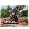 Profile Picture of Daniel Wheat (@@danielwheat8) on Tiktok