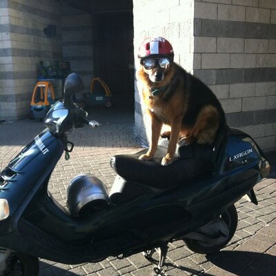 Profile Picture of David Corbani (@DavidCorbani) on Twitter