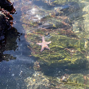 Profile Picture of Jenea (@jeneve444) on Youtube