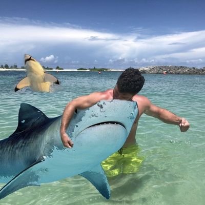 Profile Picture of Crouching Tiger (@SamHolter1) on Twitter