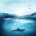 Profile Picture of Manuel Berrones (@manuel.berrones.14) on Instagram