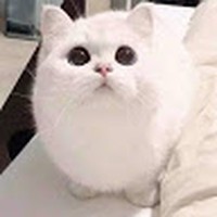 Profile Picture of Ohnmar Myint (@ohnmar-myint-17) on Quora