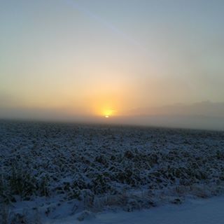 Nadia Jebara - Facebook Profile Picture of Nadia Jebara (@Nadia-Jebara) on Facebook