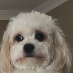 Profile Picture of Nancy Edelman (@nancy.edelman.7) on Instagram