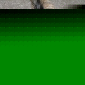 Profile Picture of Sophia Benoit (@theprincesssophia) on Myspace