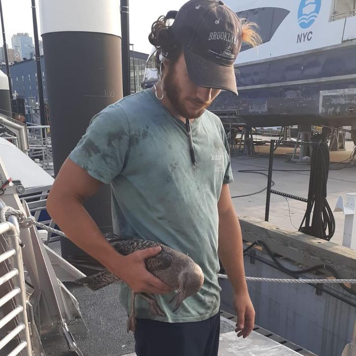 Matthew Logman - Tiktok Profile Picture of Matthew Logman (@matthewlogman) on Tiktok