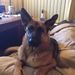 Profile Picture of Lorraine Jarvis (@lorraineboer) on Pinterest