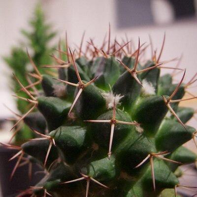 Profile Picture of Michael Breuer (@tweetzyxbac) on Twitter