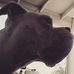 Profile Picture of Michelle Devora (@michelle.devora.142) on Facebook