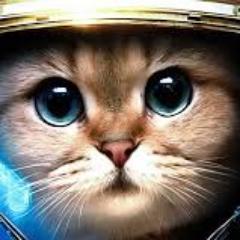 Profile Picture of Daniel Iman Aparicio (@danieliman15) on Twitter
