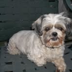 Profile Picture of Karen Gorzinski (@karen.gorzinski) on Facebook