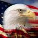 Profile Picture of John Lastinger (@21lastingerj) on Pinterest