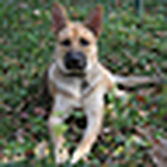 Profile Picture of Alex Meadows (@memphisbjj) on Flickr