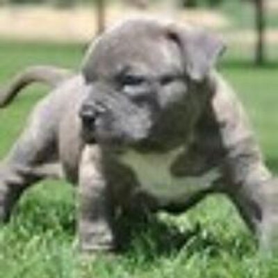 Profile Picture of Keith Elswick (@KeithElswick) on Twitter