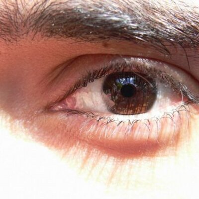Profile Picture of Binandeh (@binandeh) on Twitter