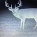 Profile Picture of John Hawkins (@john.hawkins.313924) on Facebook