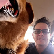 Profile Picture of Paul Fernando Uribe Uribe (@paulfernandouribeuribe2223) on Youtube