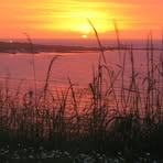 Profile Picture of Kelly Marks (@Kelly-Marks) on Facebook