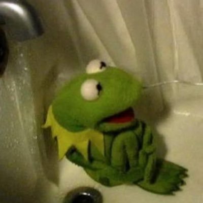 Profile Picture of Seth Clark (@KermitTheSeth) on Twitter