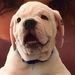 Profile Picture of Scott Ewers (@ewers1176) on Pinterest