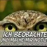 Profile Picture of Thomas Käss (@thomas.kass.96) on Instagram