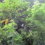 Profile Picture of Grayson West Conklin (@graysonconklin) on Instagram