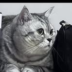 Profile Picture of Jeff Duvall (@Jeff-Duvall) on Facebook