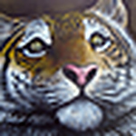 Profile Picture of James Sewell (@james sewell art) on Flickr