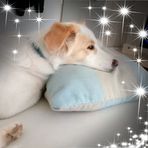 Profile Picture of Kevin Reiber (@kevin.reiber.9828) on Facebook