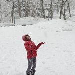 Profile Picture of Jayshree Iyer (@jayshree.iyer) on Instagram