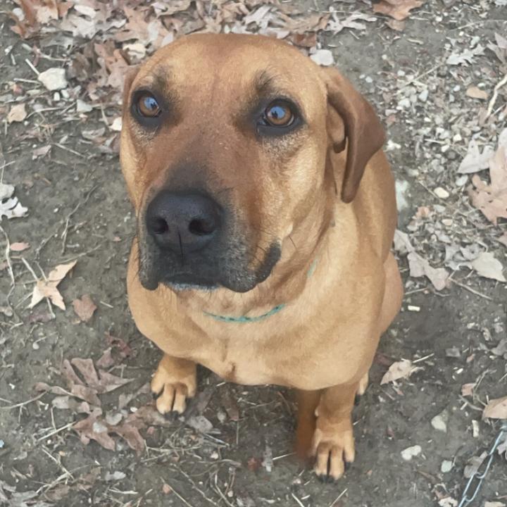 Profile Picture of Isaiah (@.isaiah.dunn) on Tiktok