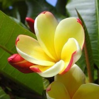 Profile Picture of Maria Alto (@AltitaMaria) on Twitter
