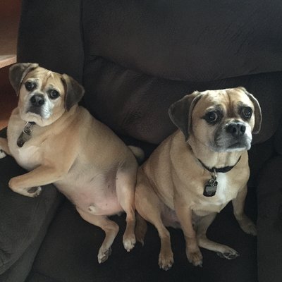 Profile Picture of Jeffrey Bucher (@thebigpapa1) on Twitter