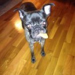 Profile Picture of Karen N Adam Satchell (@petmomma) on Instagram